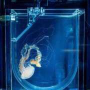 ヒメ日記 2026/04/05 22:18 投稿 さゆり 品川ハイブリッドマッサージ