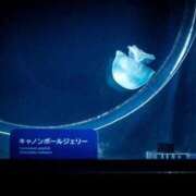 ヒメ日記 2026/04/16 07:08 投稿 さゆり 品川ハイブリッドマッサージ