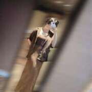 ヒメ日記 2026/04/21 07:58 投稿 さゆり 品川ハイブリッドマッサージ