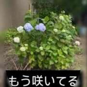 ヒメ日記 2026/05/24 22:28 投稿 さゆり 品川ハイブリッドマッサージ