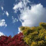 ヒメ日記 2025/12/13 13:20 投稿 れいら SOPHIA（ソフィア）