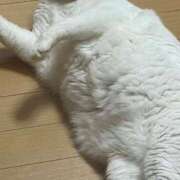 ヒメ日記 2025/08/31 01:33 投稿 つむぎ 素人系イメージSOAP彼女感大宮館