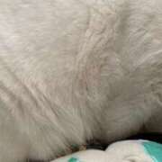 ヒメ日記 2025/10/17 11:50 投稿 つむぎ 素人系イメージSOAP彼女感大宮館