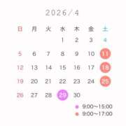 ひいろ 4月🐱🍡 ビギナーズ和歌山