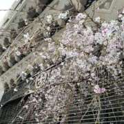 ヒメ日記 2026/03/22 02:28 投稿 美優（みゆ） PLUS十三店