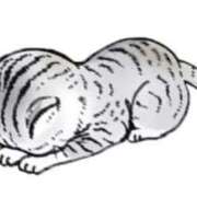 ヒメ日記 2026/04/02 09:18 投稿 美優（みゆ） PLUS十三店