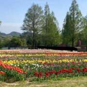 ヒメ日記 2025/07/01 14:47 投稿 すもも 妻天 梅田店