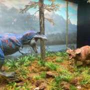 ヒメ日記 2025/08/17 11:27 投稿 すもも 妻天 梅田店