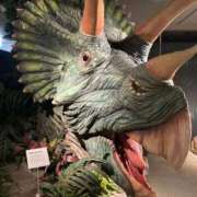 ヒメ日記 2025/08/27 11:17 投稿 すもも 妻天 梅田店