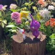 ヒメ日記 2025/09/13 01:37 投稿 すもも 妻天 梅田店