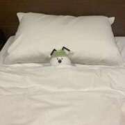 ヒメ日記 2025/09/14 23:47 投稿 すもも 妻天 梅田店