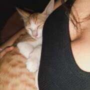 風音／かざね 実家の猫と🐱 大宮人妻セレブリティ（ユメオト）