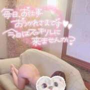 ヒメ日記 2025/06/21 09:47 投稿 みりあ STAR-スター-