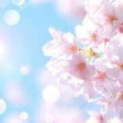 夕霧 きらら こんにちはꪔ̤̮ 大奥 難波店