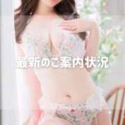 ヒメ日記 2025/11/18 21:41 投稿 うるみ Versailles