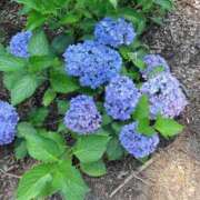 ヒメ日記 2025/06/24 15:22 投稿 ねね セレブクエスト－Iwaki－