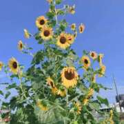 ヒメ日記 2025/08/28 12:22 投稿 ねね セレブクエスト－Iwaki－