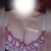 ヒメ日記 2025/09/29 08:42 投稿 ねね セレブクエスト－Iwaki－