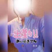 ヒメ日記 2025/09/29 09:42 投稿 ねね セレブクエスト－Iwaki－