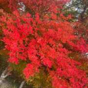 ヒメ日記 2025/11/16 19:12 投稿 ねね セレブクエスト－Iwaki－