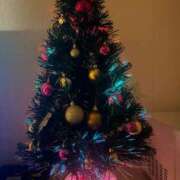 ヒメ日記 2025/11/26 07:52 投稿 ねね セレブクエスト－Iwaki－