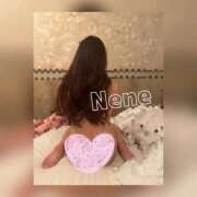 ねね げんき？ セレブクエスト－Iwaki－