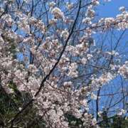 ヒメ日記 2026/04/06 06:12 投稿 ねね セレブクエスト－Iwaki－