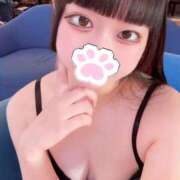 ヒメ日記 2025/11/13 03:40 投稿 さや（新人割引6/14まで） ウルトラグレイス24