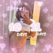 ふる 出勤するよ〜 ぺろぺろベロベロ専科 ぺろんちょ