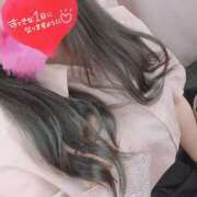 ヒメ日記 2025/07/19 10:07 投稿 りた 船橋ときめき女学園