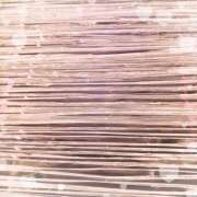 ヒメ日記 2025/11/21 20:05 投稿 もね 海物語