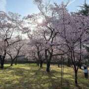 ヒメ日記 2026/04/10 02:41 投稿 ちひろ ちゃんこ長野塩尻北IC店