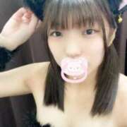 ヒメ日記 2025/06/20 17:22 投稿 いおり MINT（ミント）