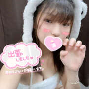 ヒメ日記 2025/08/07 13:20 投稿 いおり MINT（ミント）