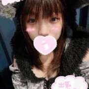 ヒメ日記 2025/08/25 12:57 投稿 いおり MINT（ミント）