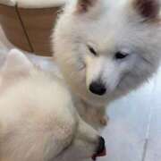 ヒメ日記 2025/11/21 09:04 投稿 のあ 人妻倶楽部 内緒の関係 大宮店