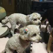 ヒメ日記 2026/02/11 10:23 投稿 すず Beppin house