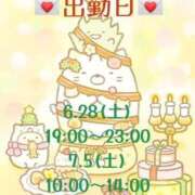 ヒメ日記 2025/06/25 07:52 投稿 ゆき 白いぽっちゃりさん