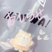 ヒメ日記 2025/07/02 18:42 投稿 ゆき 白いぽっちゃりさん