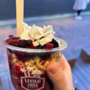 ヒメ日記 2025/07/05 09:42 投稿 ゆき 白いぽっちゃりさん