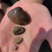 ヒメ日記 2025/07/28 07:42 投稿 ゆき 白いぽっちゃりさん