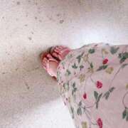 ヒメ日記 2025/08/09 11:03 投稿 ゆき 白いぽっちゃりさん