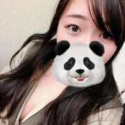 ヒメ日記 2025/08/20 07:12 投稿 ゆき 白いぽっちゃりさん