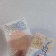 ヒメ日記 2025/09/03 07:02 投稿 ゆき 白いぽっちゃりさん