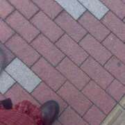 ヒメ日記 2025/09/07 10:44 投稿 ゆき 白いぽっちゃりさん