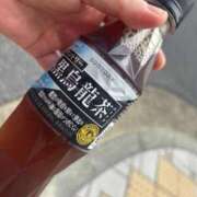 ヒメ日記 2025/09/28 10:33 投稿 ゆき 白いぽっちゃりさん