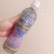 ヒメ日記 2025/10/04 19:13 投稿 ゆき 白いぽっちゃりさん