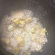 ヒメ日記 2025/10/19 23:50 投稿 ゆき 白いぽっちゃりさん