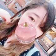 ヒメ日記 2025/11/11 07:32 投稿 ゆき 白いぽっちゃりさん