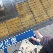 ヒメ日記 2025/11/16 10:04 投稿 ゆき 白いぽっちゃりさん